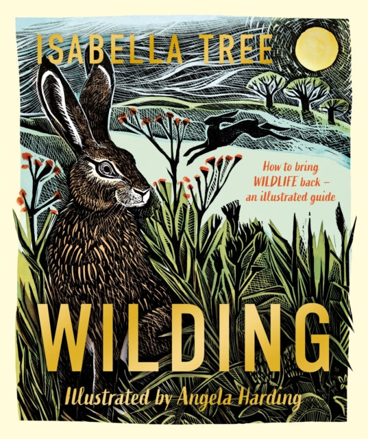 Wilding: How to bring wildlife back - an illustrated guide by Isabella Tree