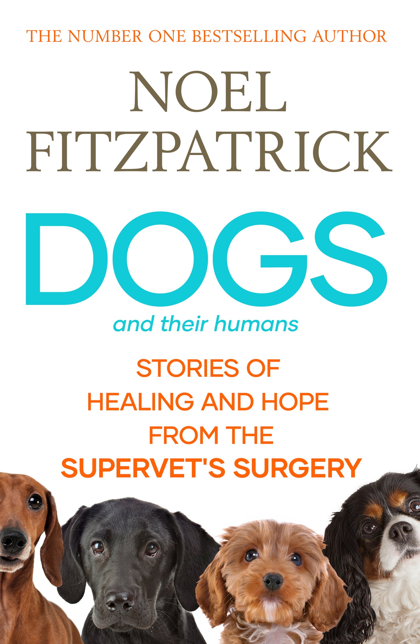 Dogs and Their Humans : Stories of Healing and Hope from the Supervet's Surgery by Noel Fitzpatrick SIGNED pre order