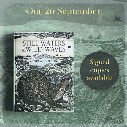 Still Waters & Wild Waves by Angela Harding (hard back)