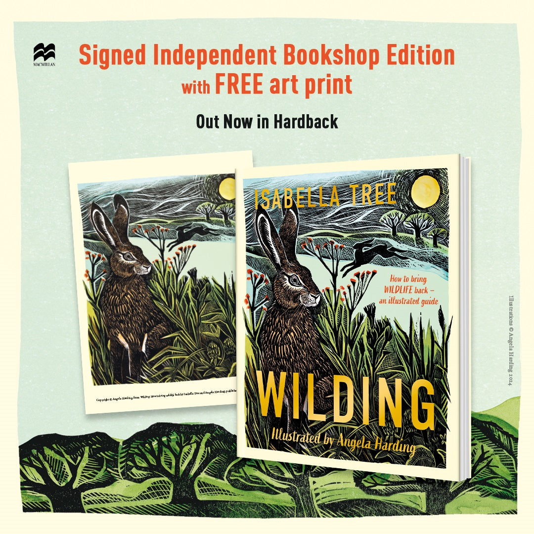 Wilding: How to bring wildlife back - an illustrated guide by Isabella Tree