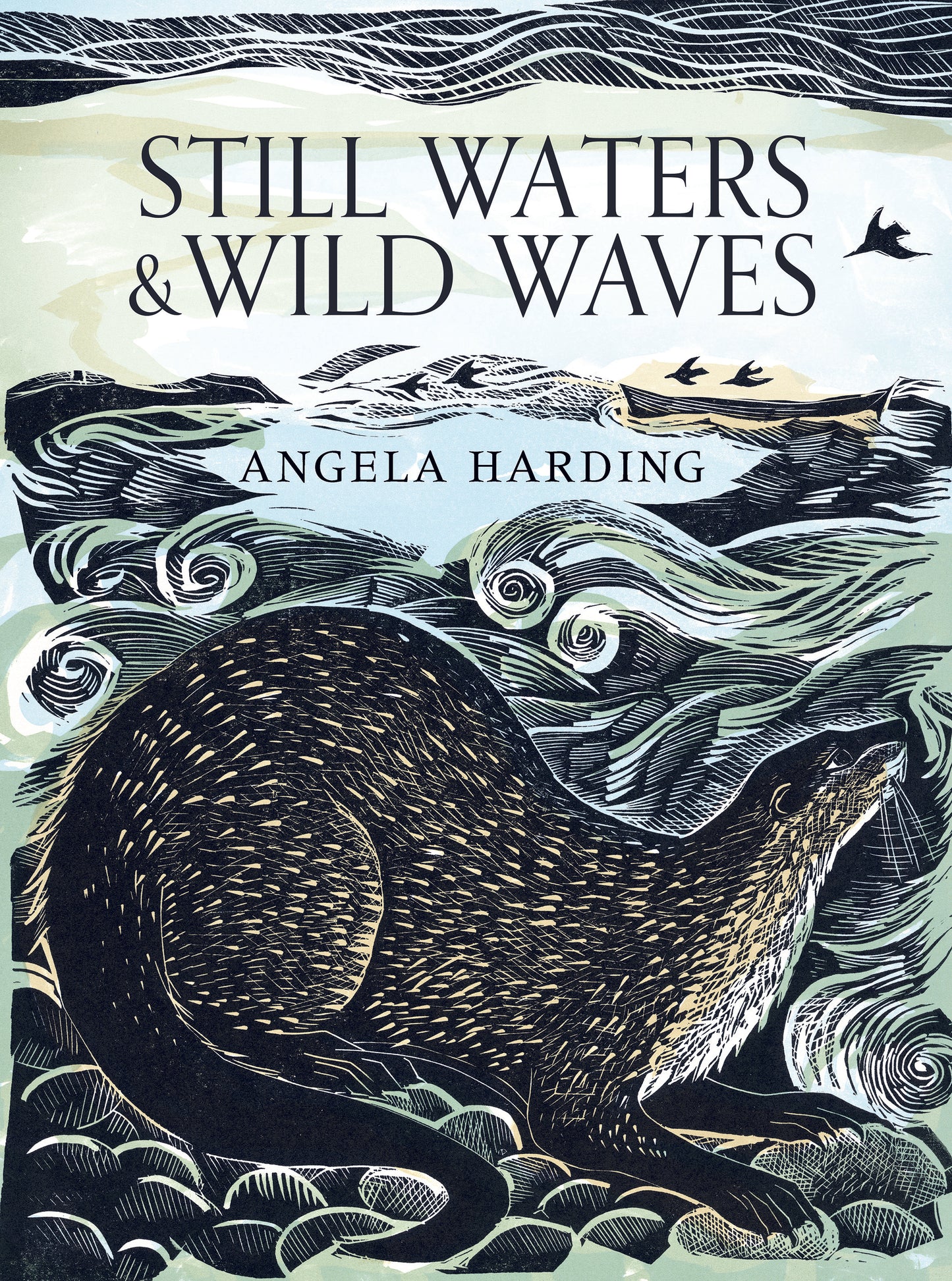 Still Waters & Wild Waves by Angela Harding (hard back)