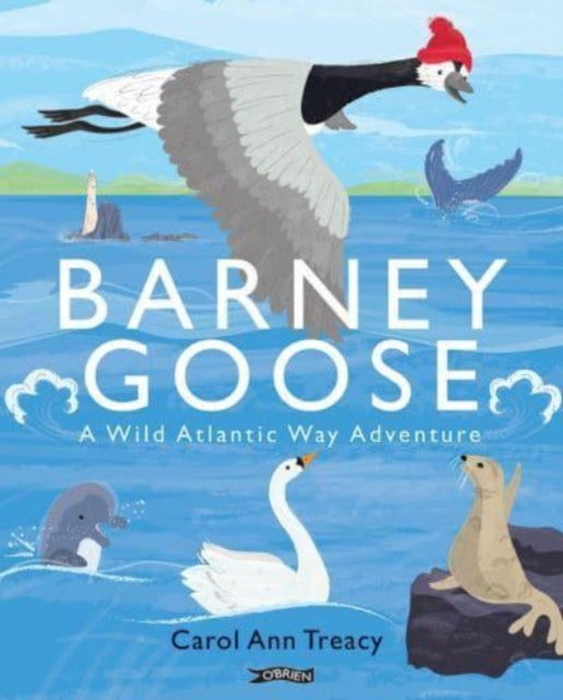 Barney Goose : A Wild Atlantic Way Adventure by Carol Ann Treacy (paperback)