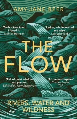 The Flow by Amy-Jane Beer (paperback)