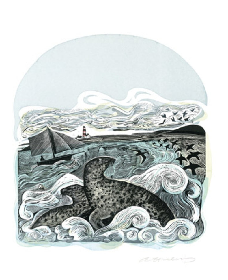 Card - Seals at Bardsey by Angela Harding