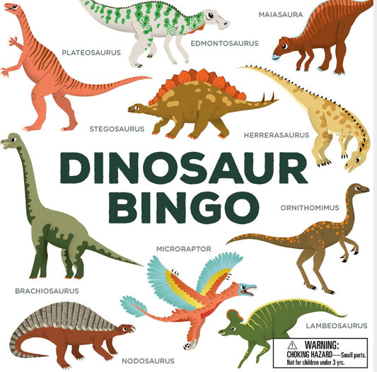 Dinosaur Bingo