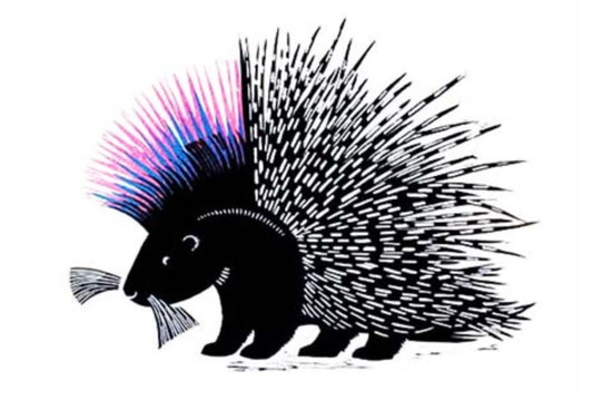 Card - Punky Porcupine by Josephine Sumner