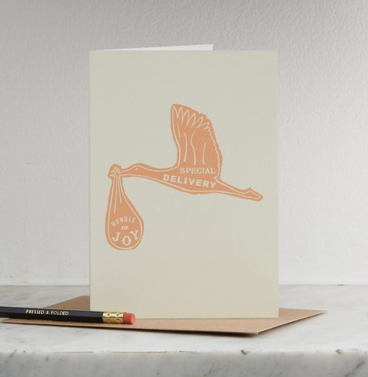 Cards Special Delivery by Pressed & Folded